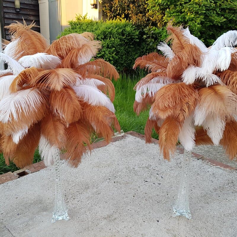 Ostrich Feathers w/ Lily Vase